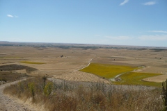04_Compostelle_Camino_Meseta_P1040231