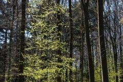 25042021-_RCM2123