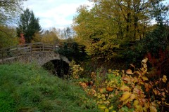 20221121_Feuilles_Bruno-Z