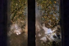 20221121_Feuilles_Christine-M