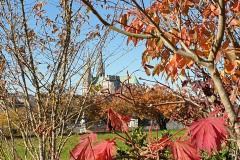 01_Claude_R_Theme_2022_11_21_Feuilles_20211105_110002_red