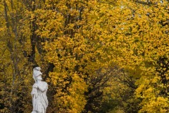 20221121_Feuilles_Helene-H-7