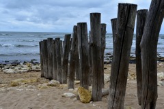 theme-vacances-Oleron-06-2020-1