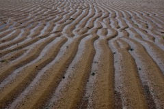 theme-vacances-Oleron-06-2020-11