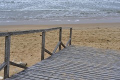 theme-vacances-Oleron-06-2020-2