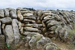 theme-vacances-Oleron-06-2020-5