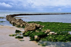 theme-vacances-Oleron-06-2020-8